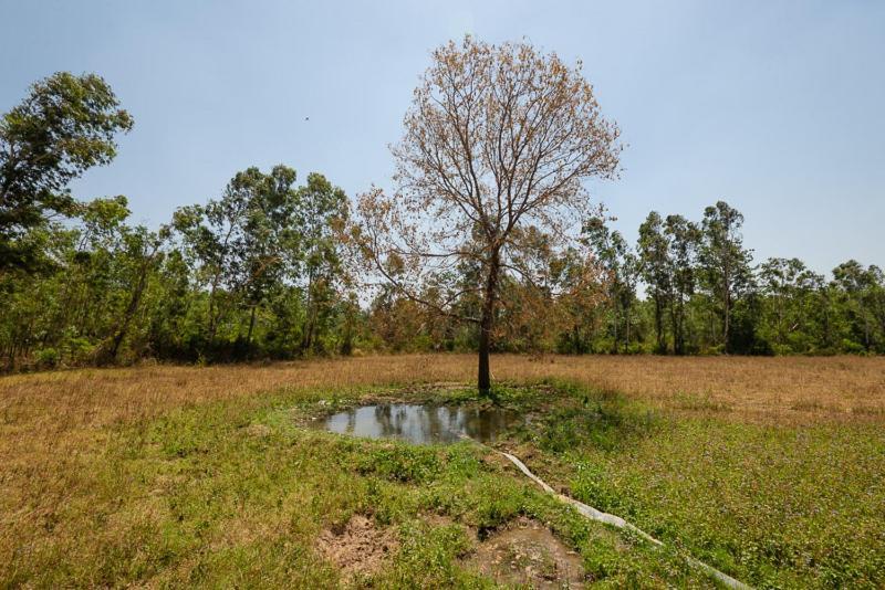 Upvan Wildlife Resort - Pura Stays Kalagarh Extérieur photo